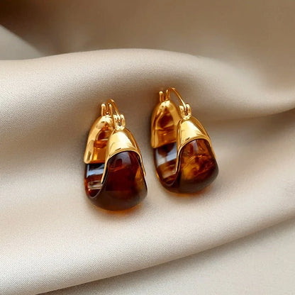 1 Pair Women's Amber Earrings French Style, High-End, Light Luxury & Vintage Ear Clips Niche, Elegant Maillard Ear Jewelry